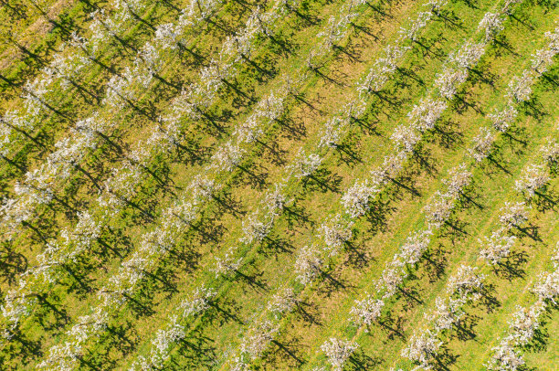 无人机研学实践