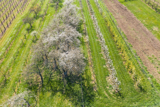 无人机研学实践
