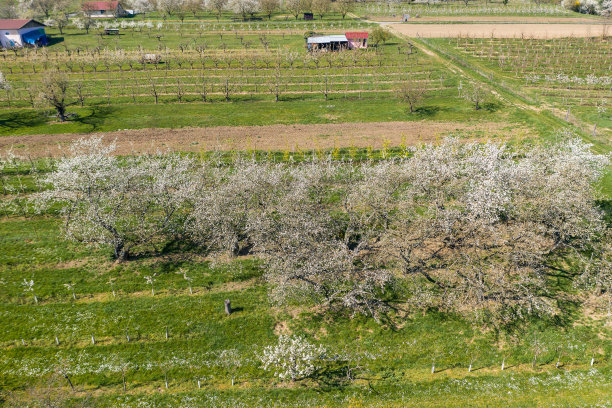 无人机研学实践