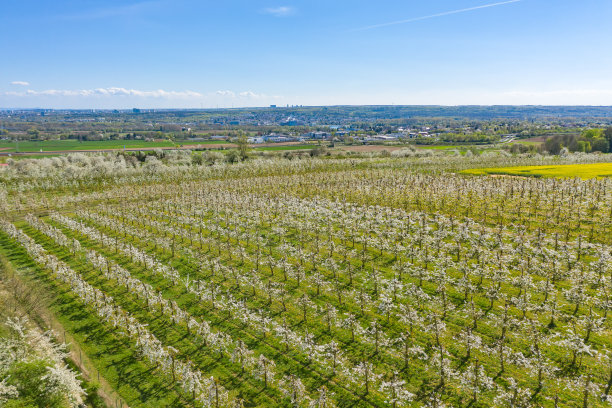 无人机研学实践