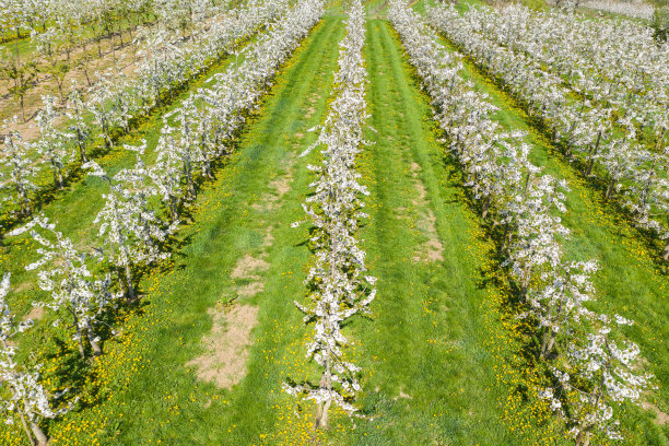 无人机研学实践