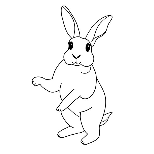 kangaroo