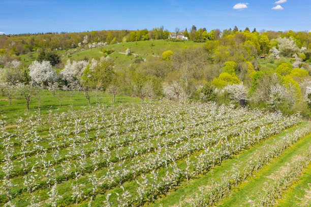 无人机研学实践