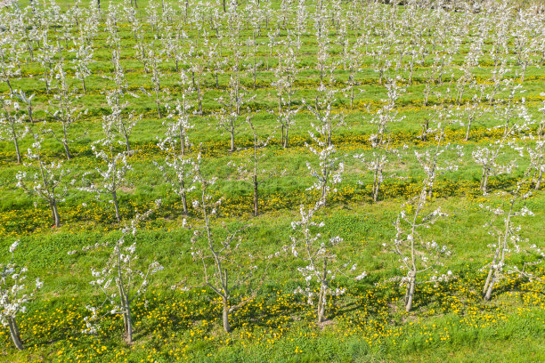 无人机研学实践