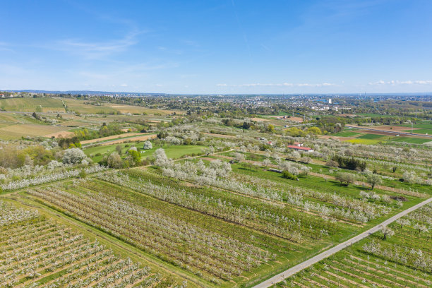 无人机研学实践