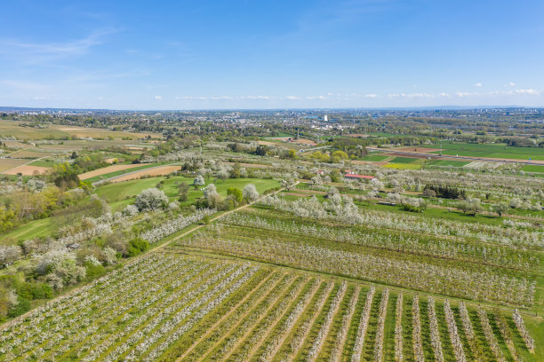 无人机研学实践