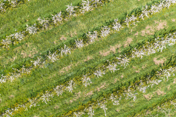 无人机研学实践