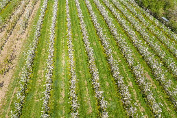 无人机研学实践
