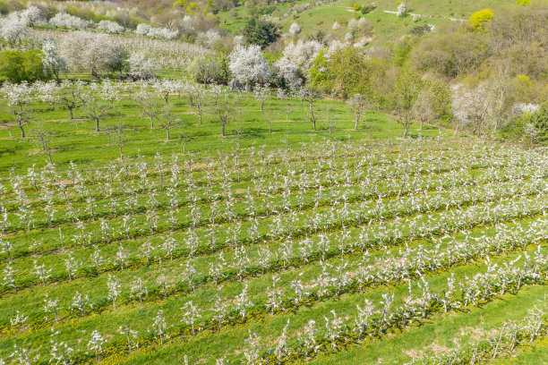 无人机研学实践