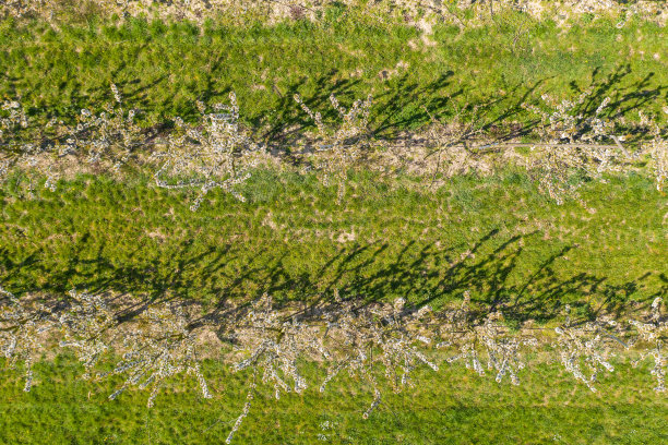 无人机研学实践