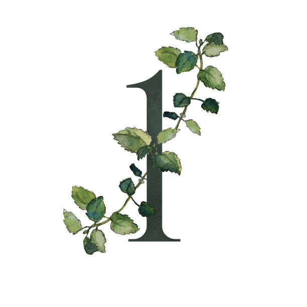 no1logo