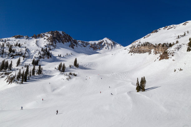 alta