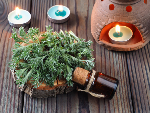 mugwort