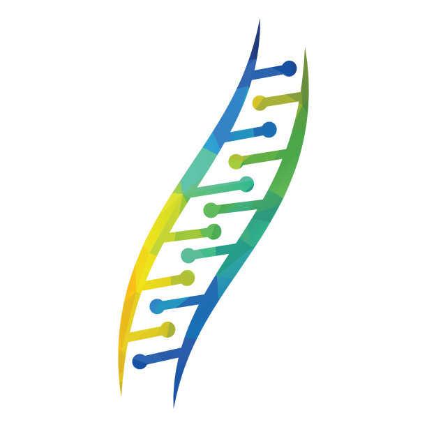 酸,生物学,螺旋
