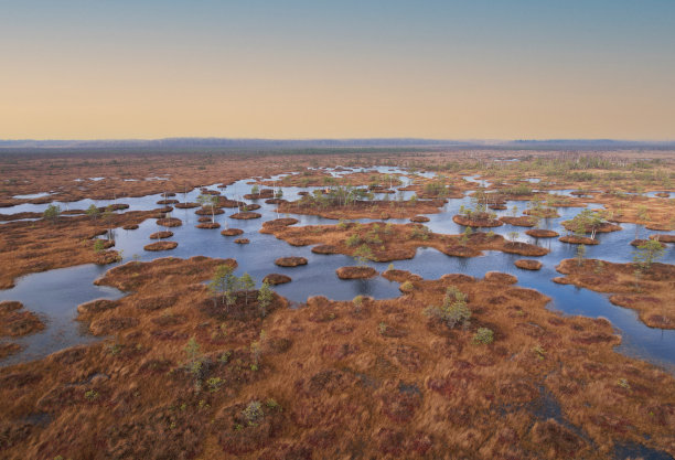 marsh