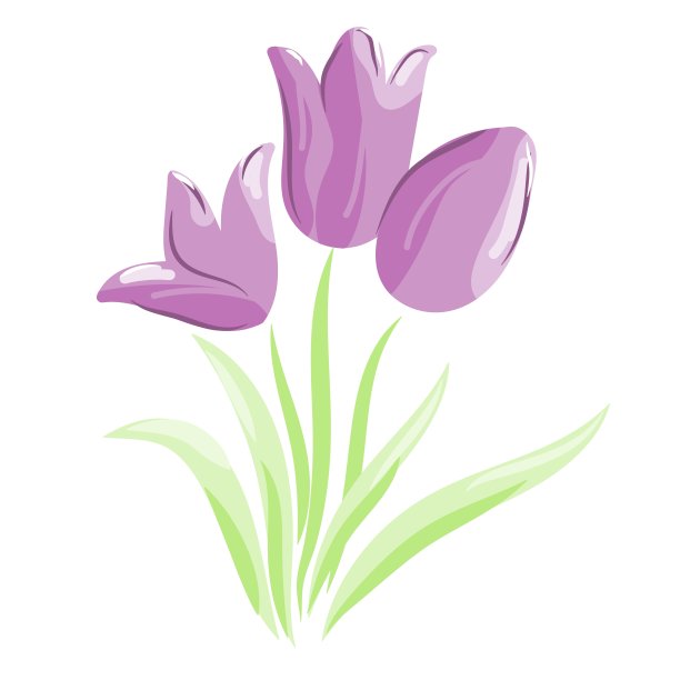 郁金香,花簇,水仙花