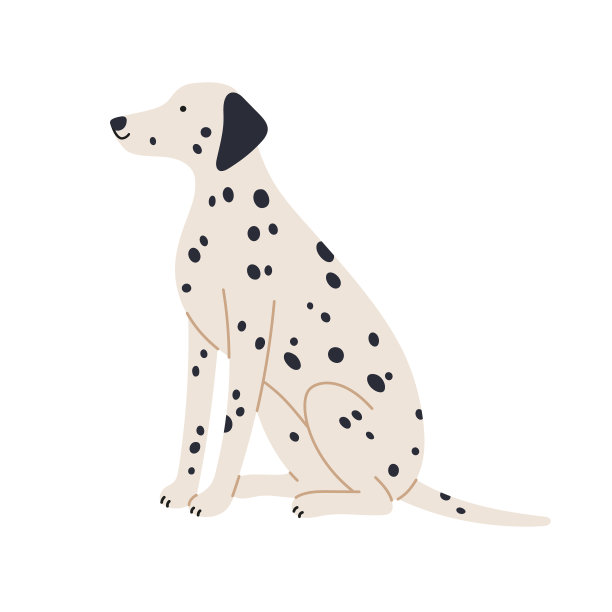 dalmatian