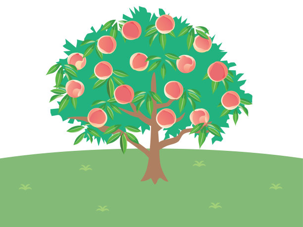 peach