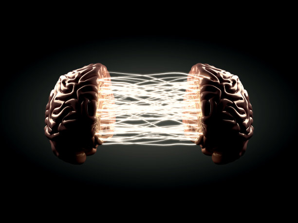 cerebrum