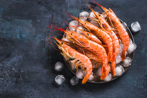 shrimp