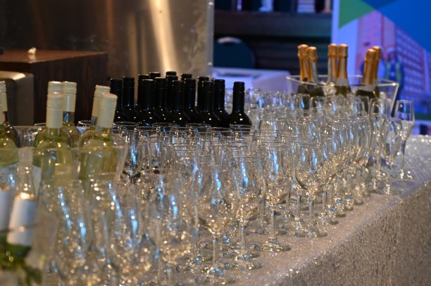 高端酒会酒局酒宴