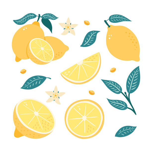 柠檬插画