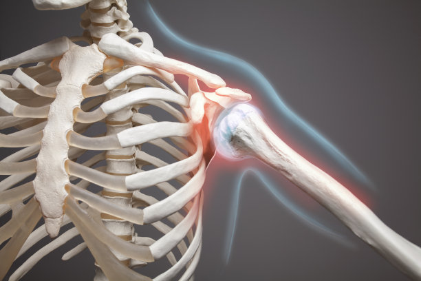 shoulder