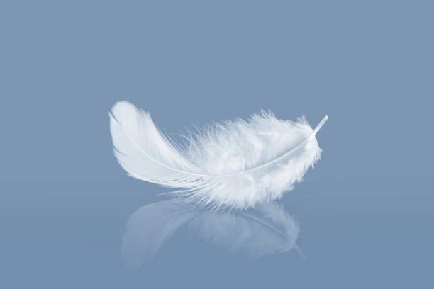 plumage