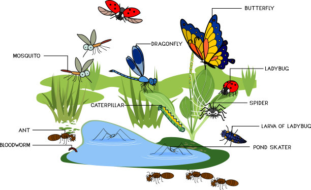 entomology