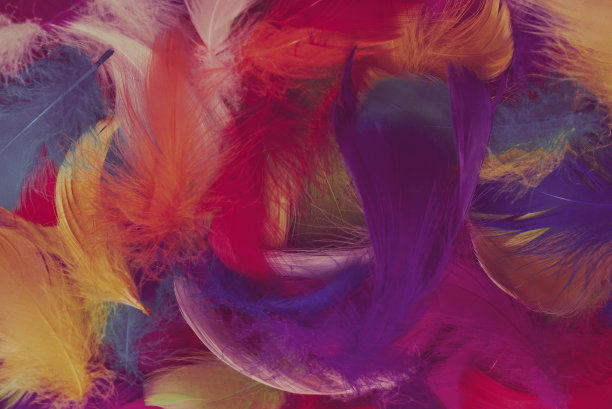 preen