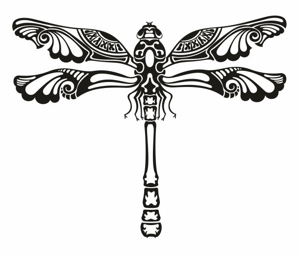beetles