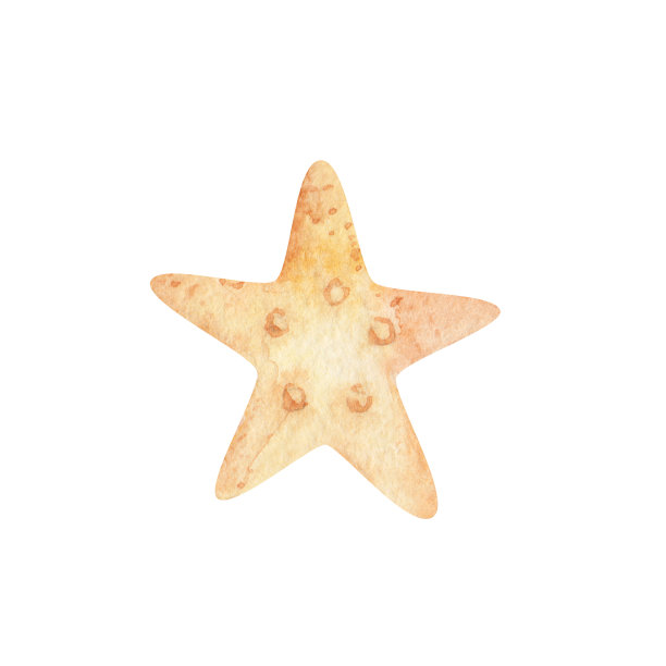conch