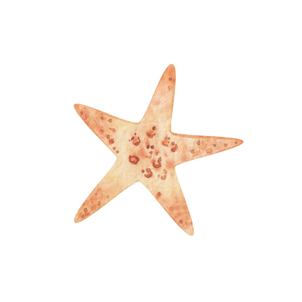 conch