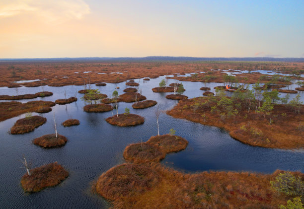 marsh