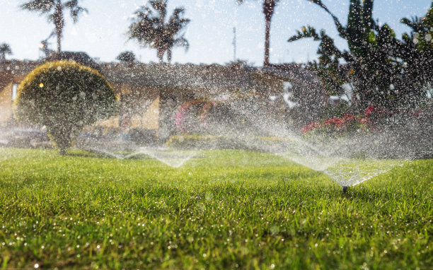irrigation