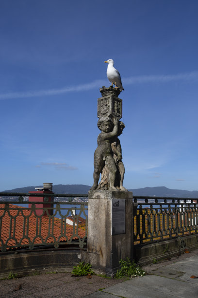 vigo