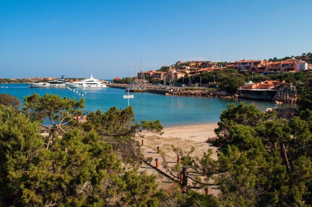 cervo