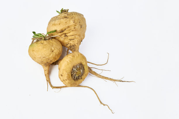 maca