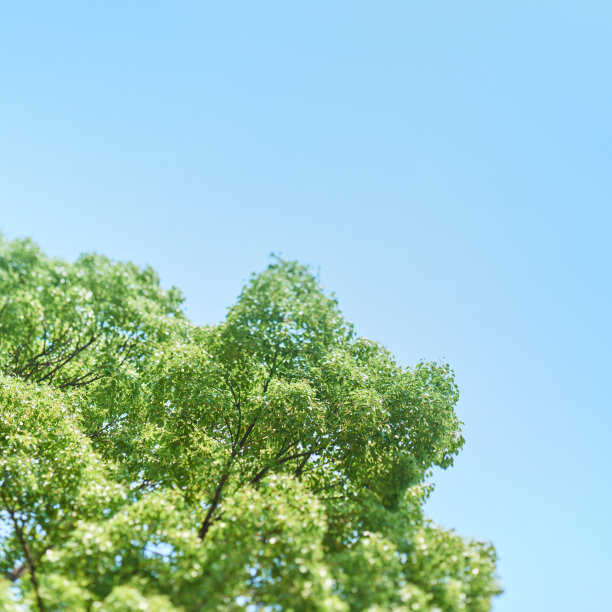 清新绿色方块背景图案