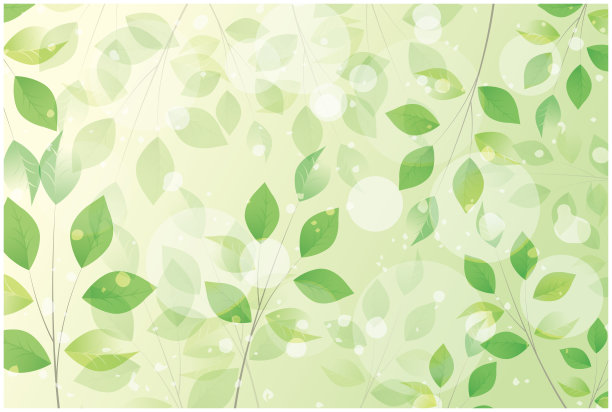 清新,环境,枝繁叶茂