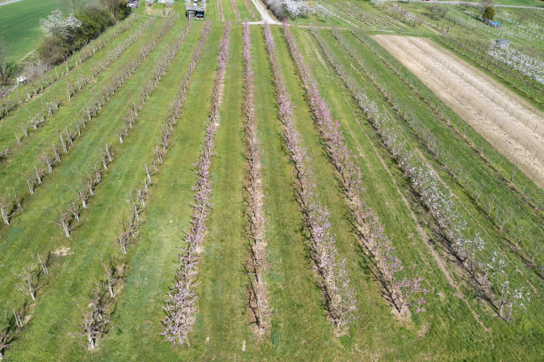 无人机研学实践