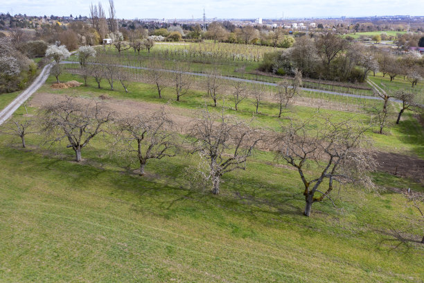 无人机研学实践