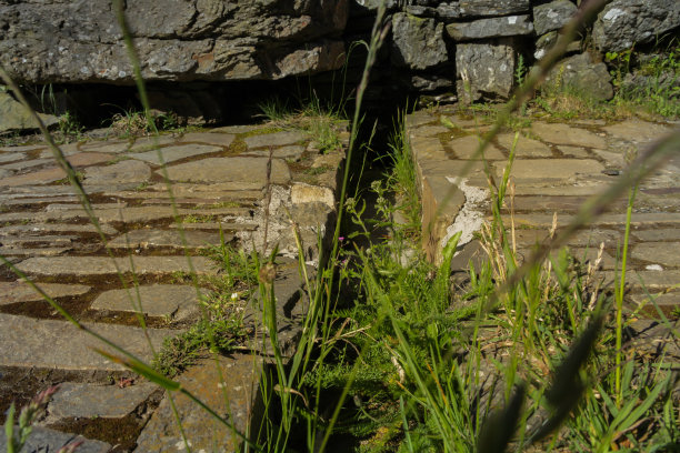 ditch
