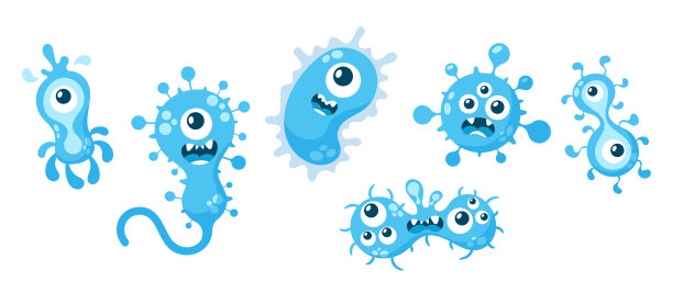 bacteria