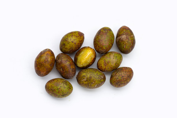 spondias