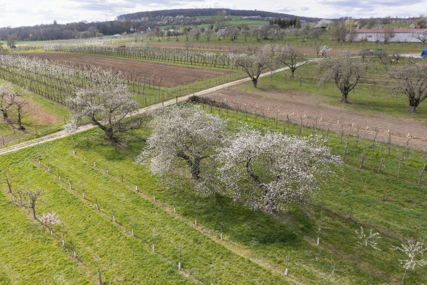 无人机研学实践