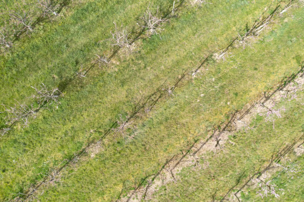 无人机研学实践