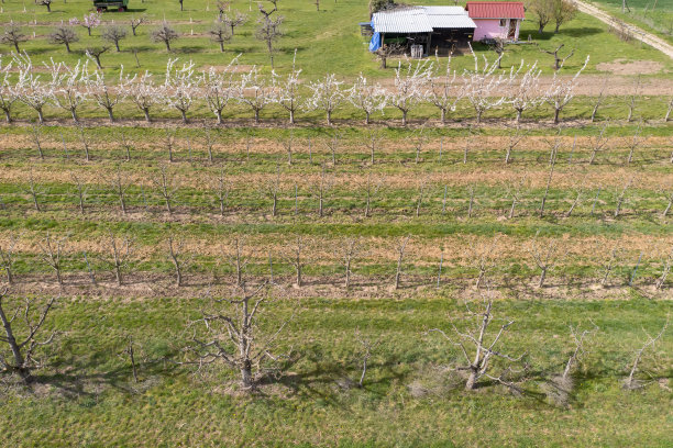 无人机研学实践