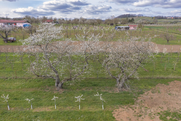 无人机研学实践