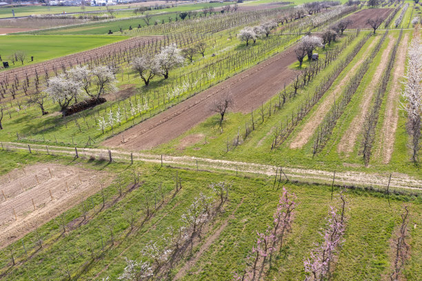 无人机研学实践